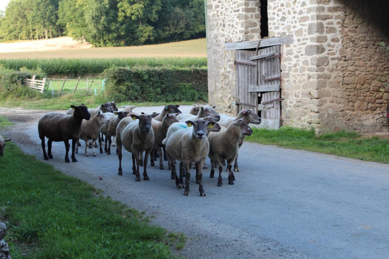 Bed and Breakfast Dans La Creuse Mourioux-Vieilleville Экстерьер фото